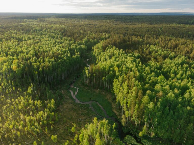 RIA at ISEAL Members Week: Driving Conversations on Risk Information